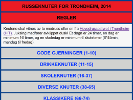 Image of the Russeknuter Trondheim 2014 web site